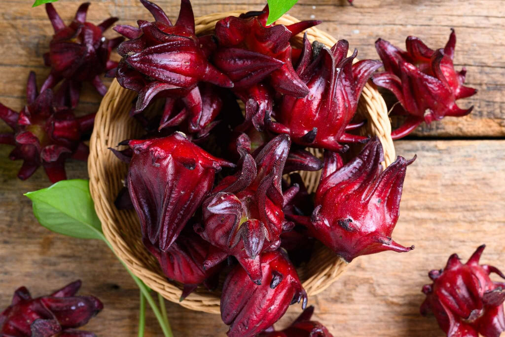 Roselle Growing Guide