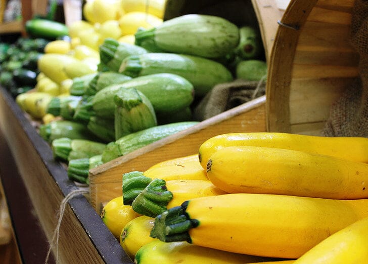 Summer Squash Growing Guide