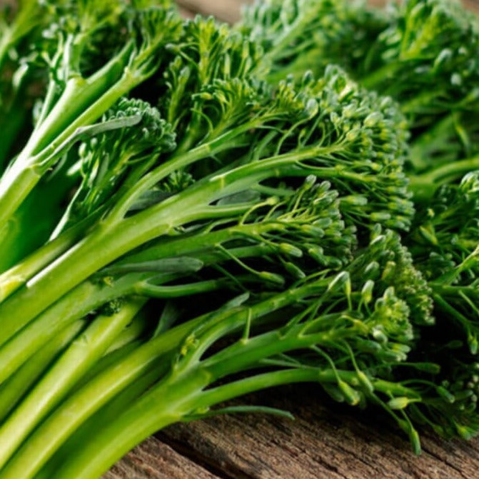 Aspabroc Broccoli