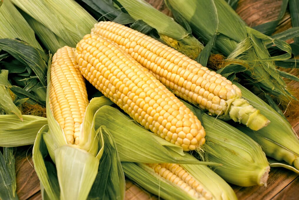 Bodacious Sweet Corn