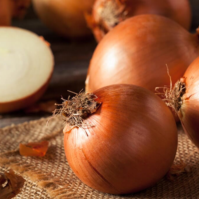 Candy Onion