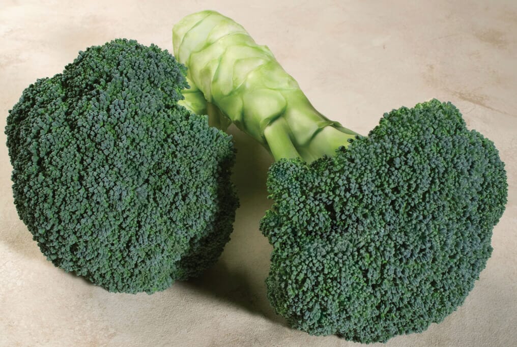 Broccoli Embrog Broccoli Crown