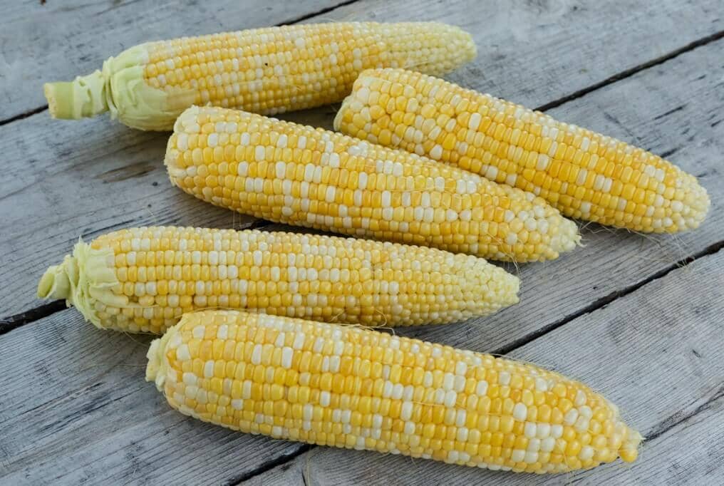 G90 Sweet Corn