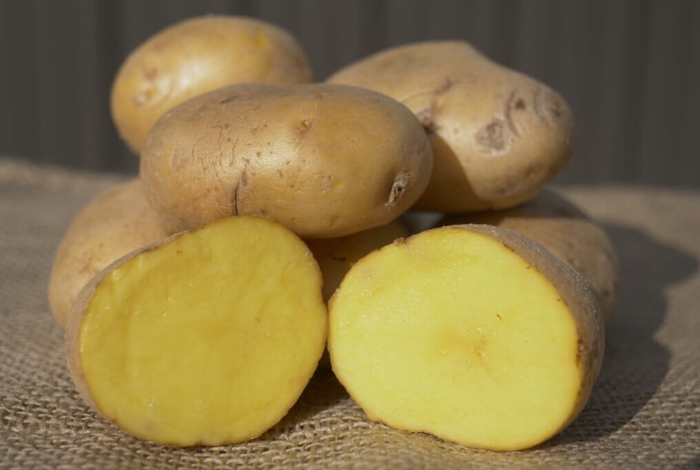 German Butterball Potato