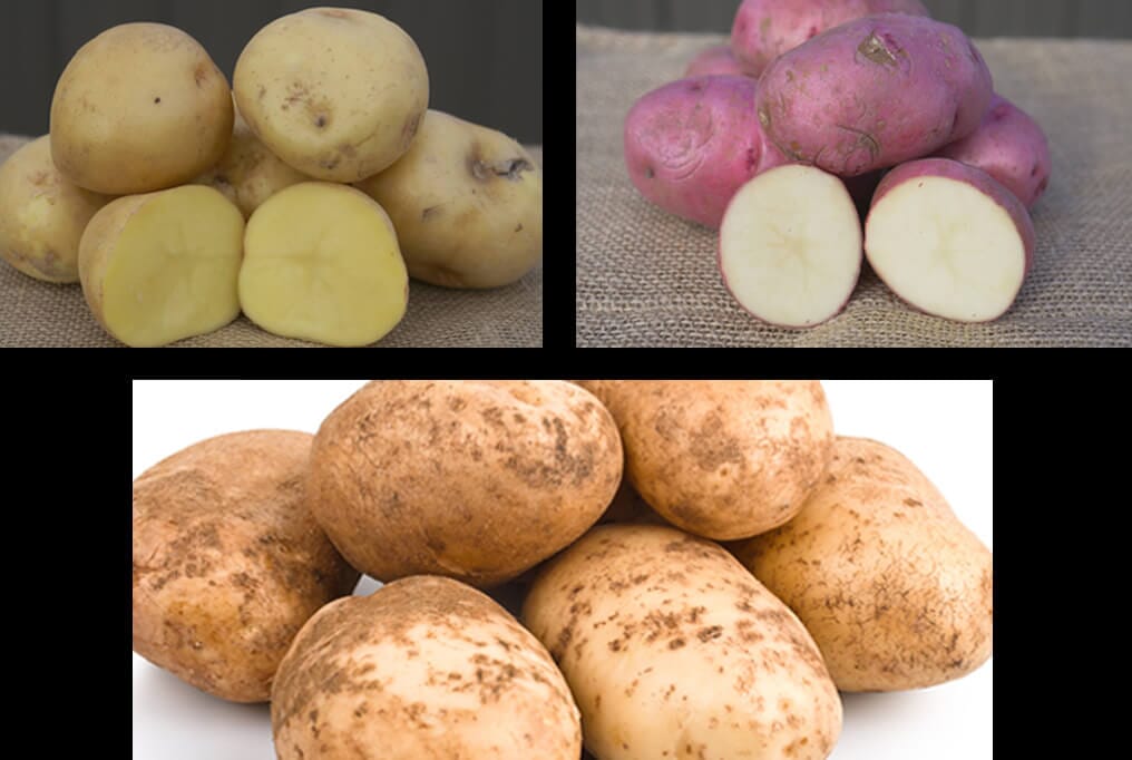 Homestead Potato Sampler