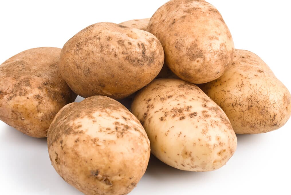 Kennebec White Potato