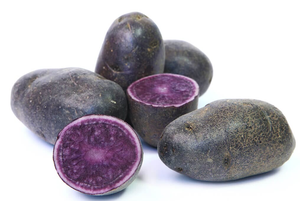 Purple Majesty Potato