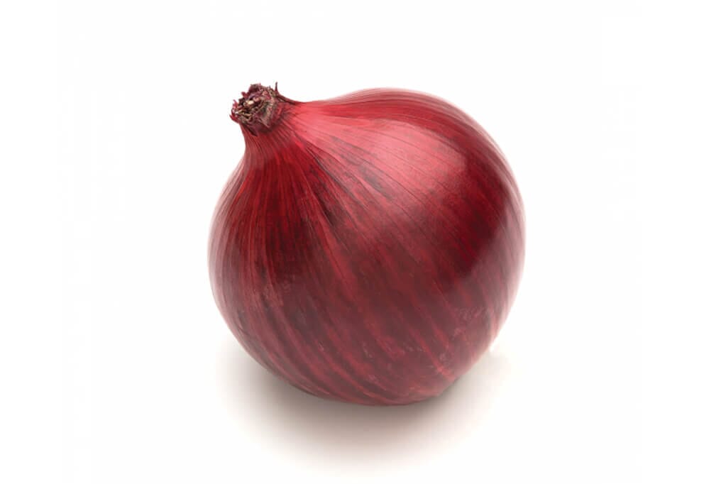 Red Nugent Onion