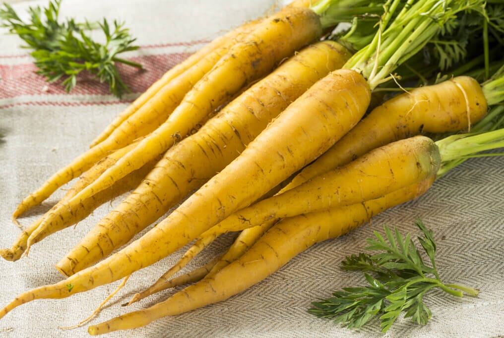Yellowbunch Carrot
